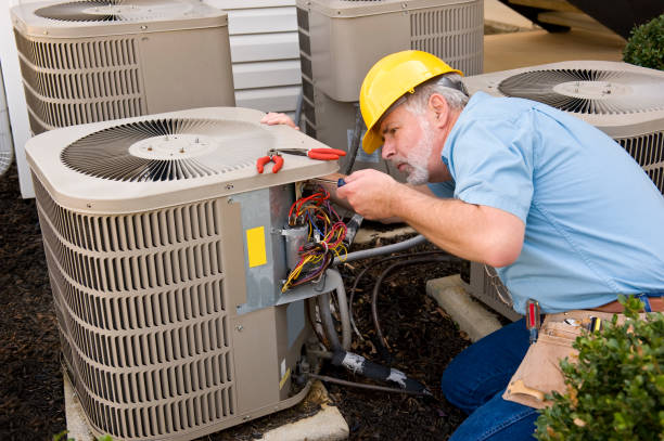 Best HVAC Air Duct Cleaning  in Black Canyon City, AZ